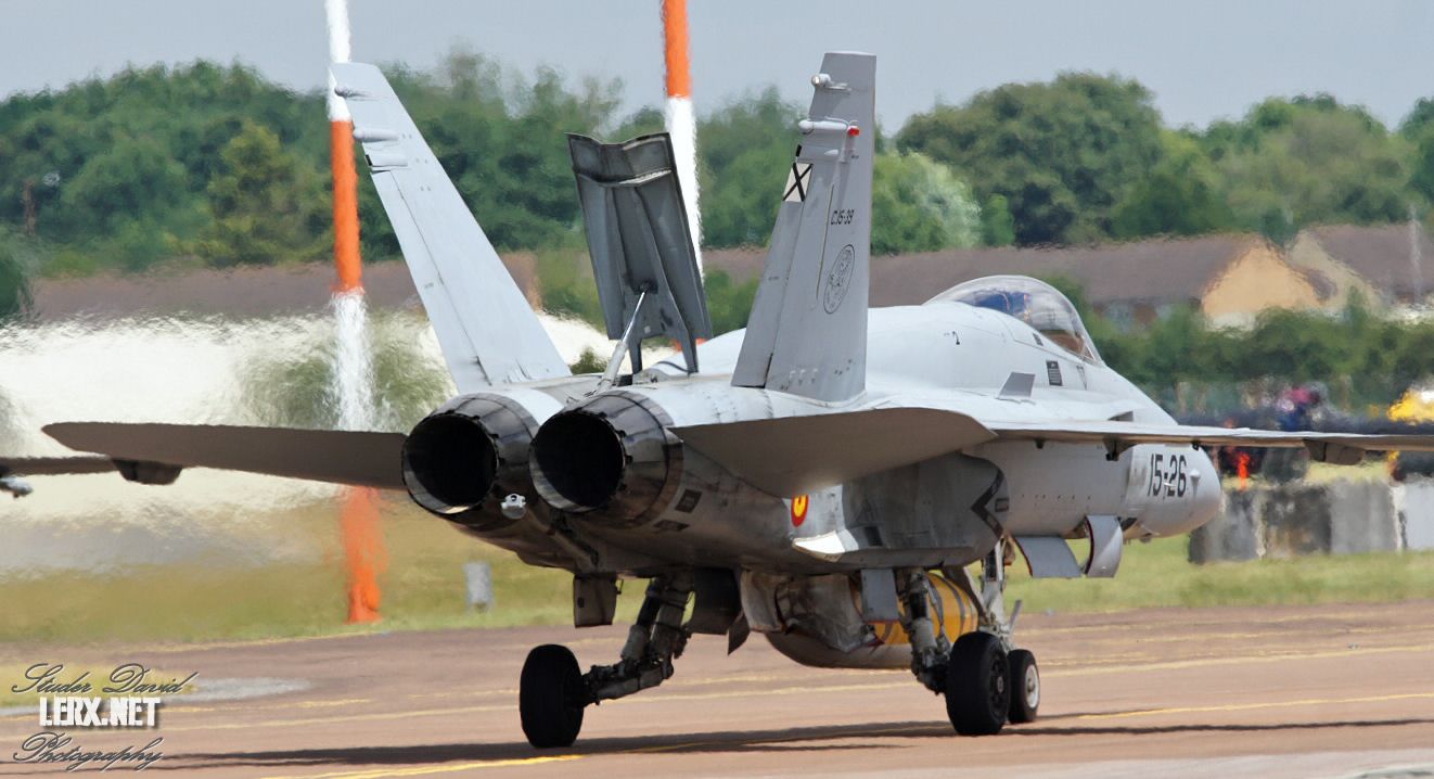 FA-18 Espagnol 0007  LERX NET.jpg